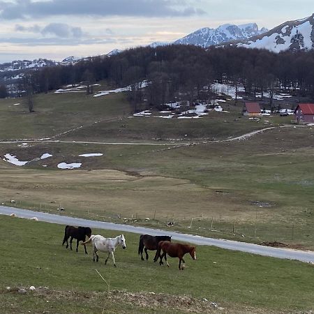 Blackberry House Zabljak ภายนอก รูปภาพ