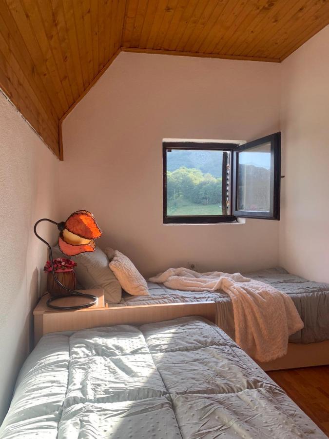 Blackberry House Zabljak ภายนอก รูปภาพ
