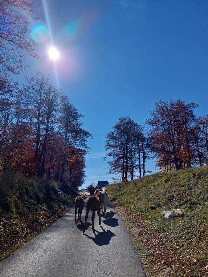 Blackberry House Zabljak ภายนอก รูปภาพ