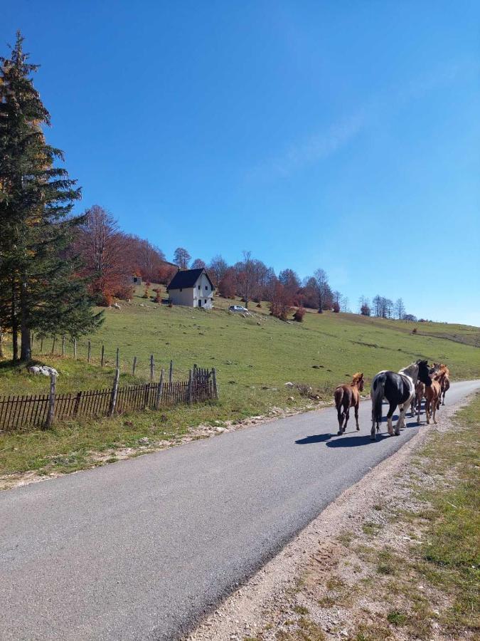 Blackberry House Zabljak ภายนอก รูปภาพ