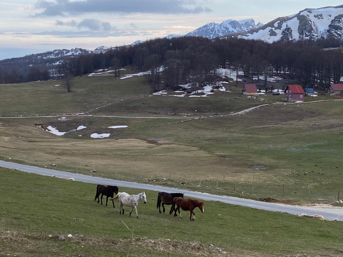 Blackberry House Zabljak ภายนอก รูปภาพ