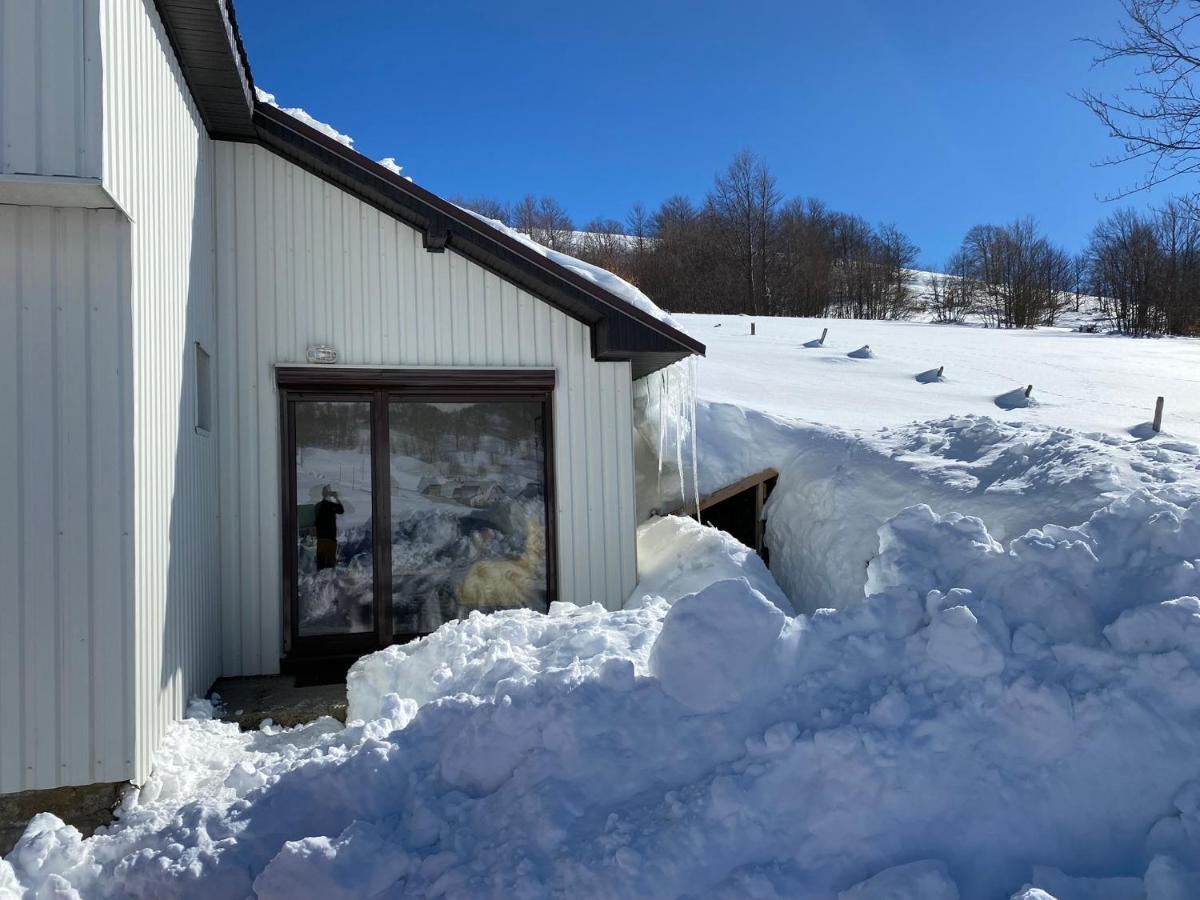 Blackberry House Zabljak ภายนอก รูปภาพ